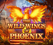 The Wild Wings of Phoenix